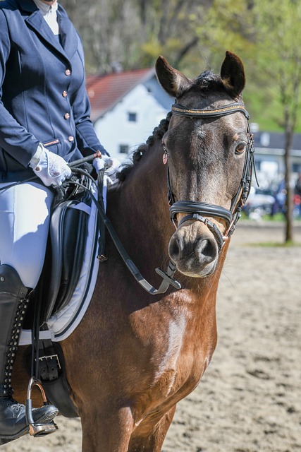 羽毛球赛不 羽毛球赛不