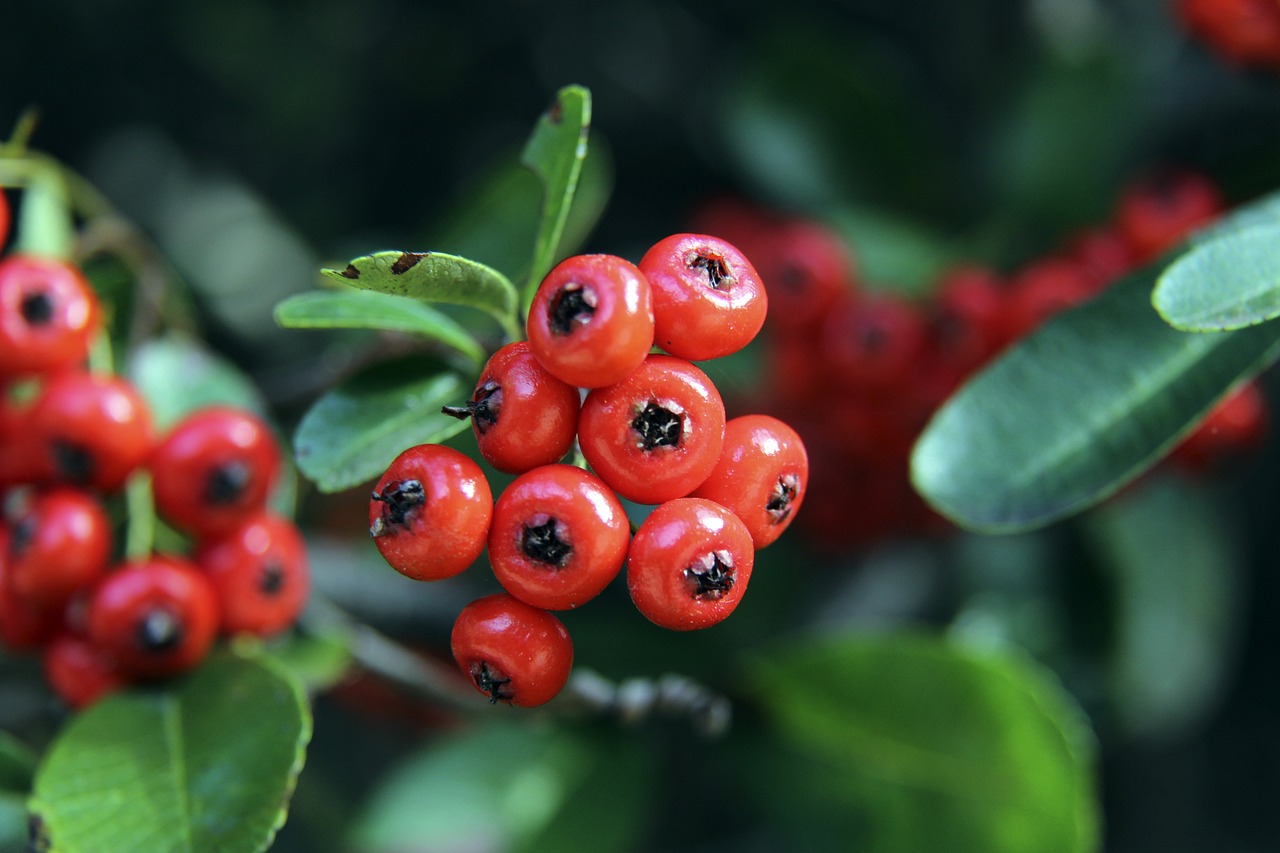 步压制了快 步压制了快