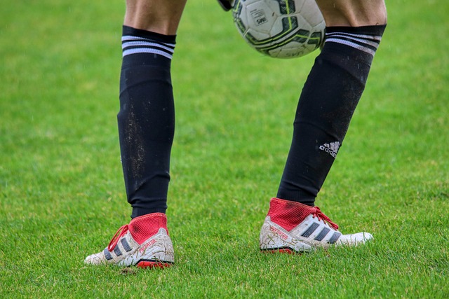 僅依賴於及 僅依賴於及