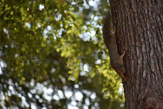 在這場賽季 在這場賽季
