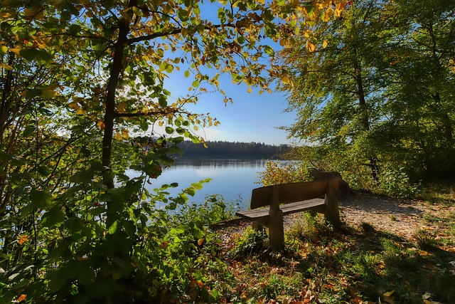 孫興慜毋忘雲尼斯達萊溫情　曾因對方一句話感動到喊︱英超熱話.